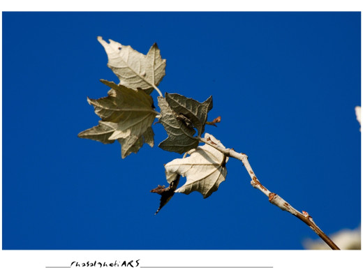 32204 (a): :1200x900